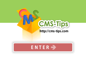 CMS-Tips���O�C��